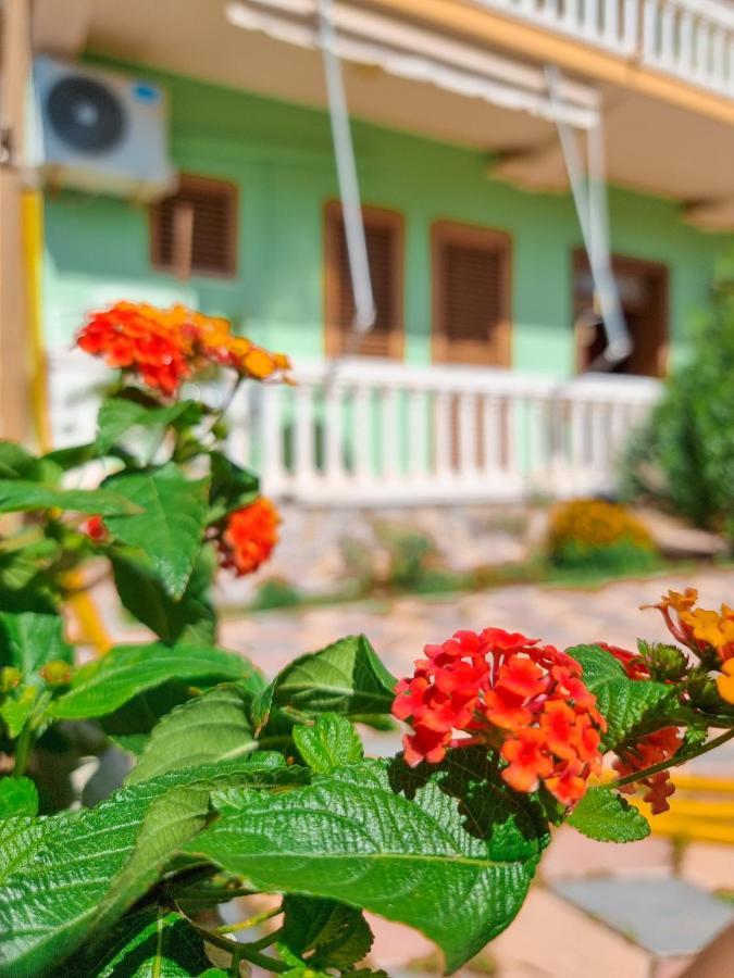 Apartment Celaj Velipojë Dış mekan fotoğraf